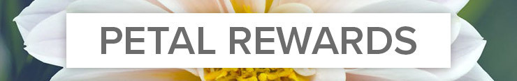 Petal Points Reward Program
