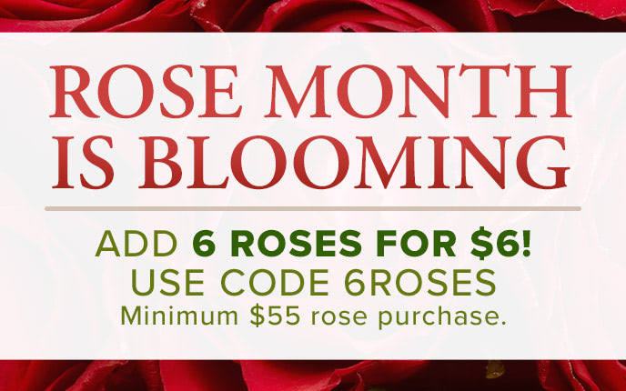 6 Free Roses With Purchase