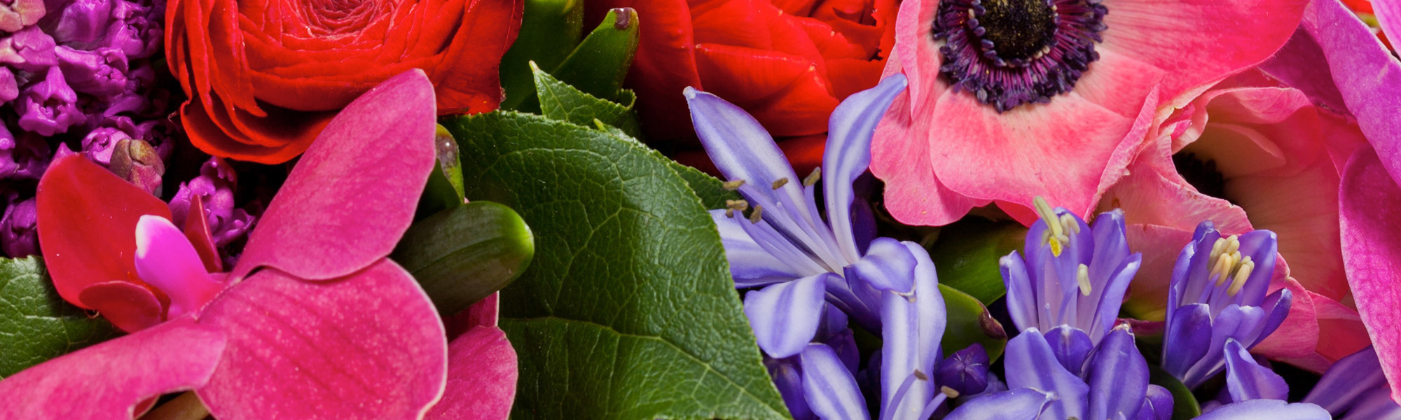 Lockers Flowers Wauwatosa Best Flower Site