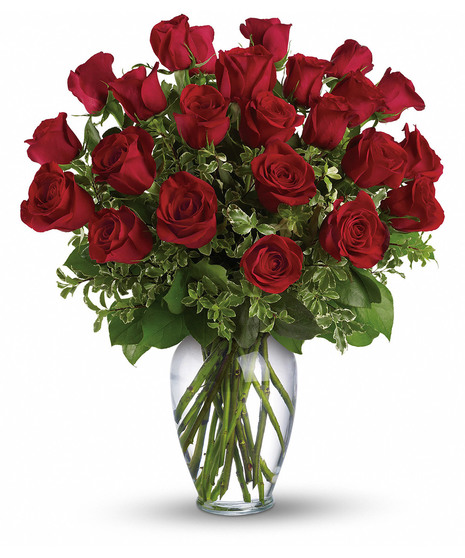 Timeless Romance  - 2-3 Dz Choose Your Color
