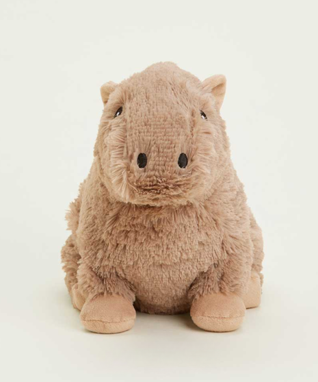 CAPYBARA WARMIES