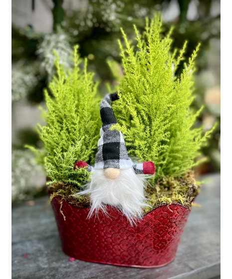 Gnome for the Holidays