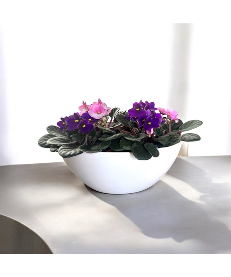 Velvet Bloom Bowl