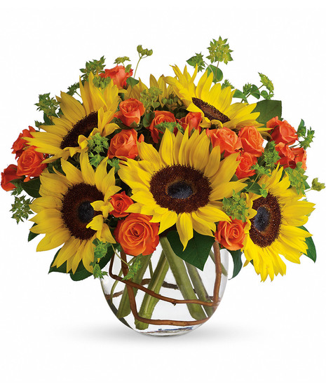 Sunny Sunflowers