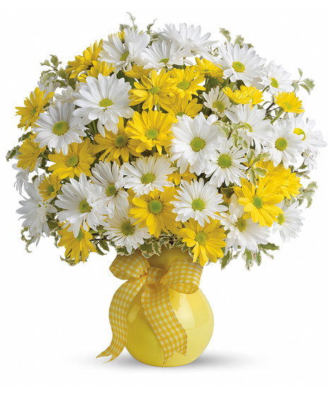 Upsy Daisy