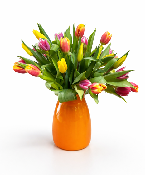 Tangerine Tulips