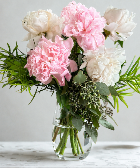 Peony Reverie