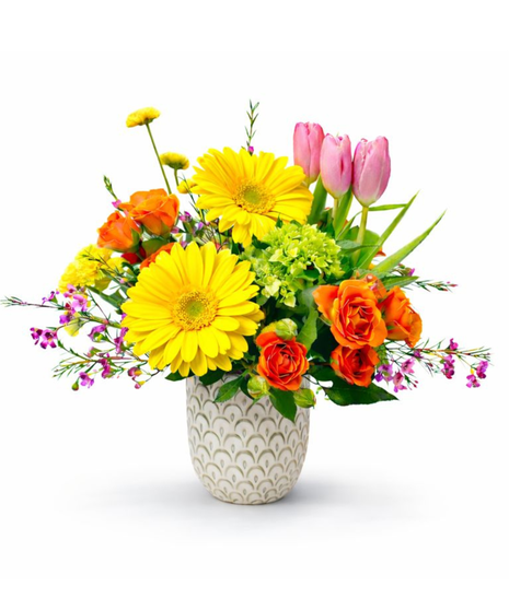 POCKET FULL OF SUNSHINE