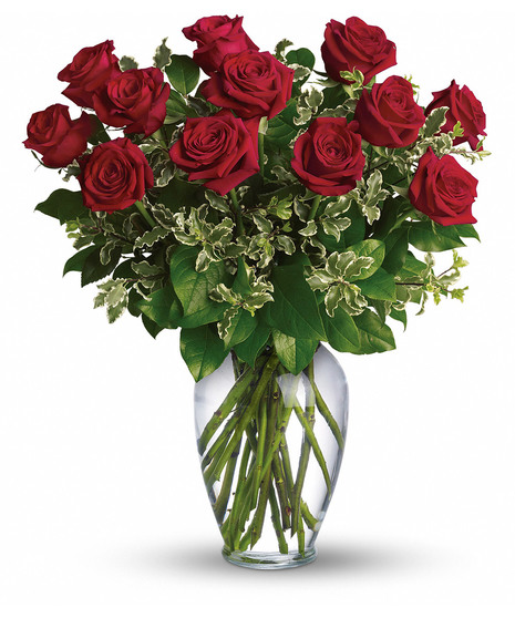 1 Dozen Roses - Choose Your Color