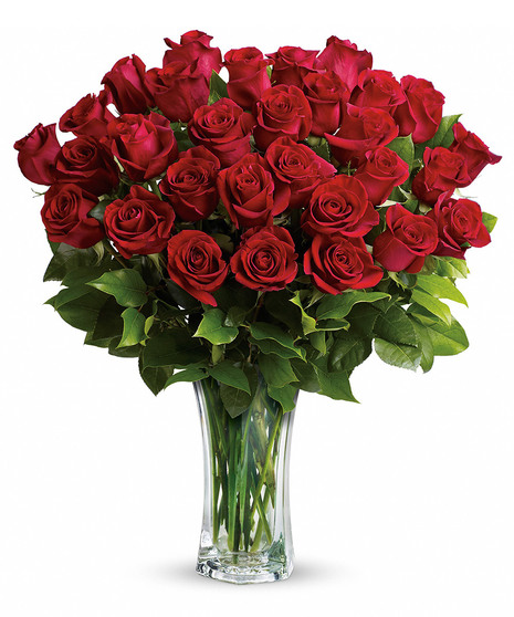 One Dozen Luxury Red Roses Milwaukee