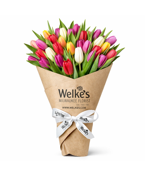Wrapped Tulips