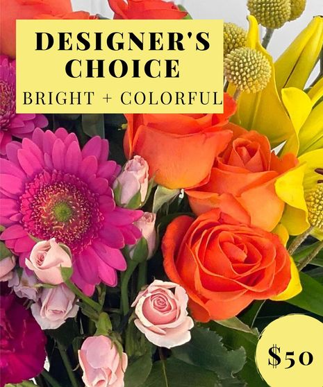 Design Choice Wrapped - Bright & Colorful