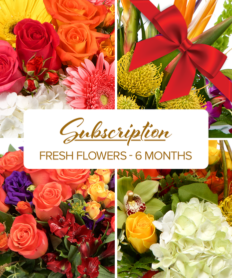 Prepaid Subscription - 6 Months