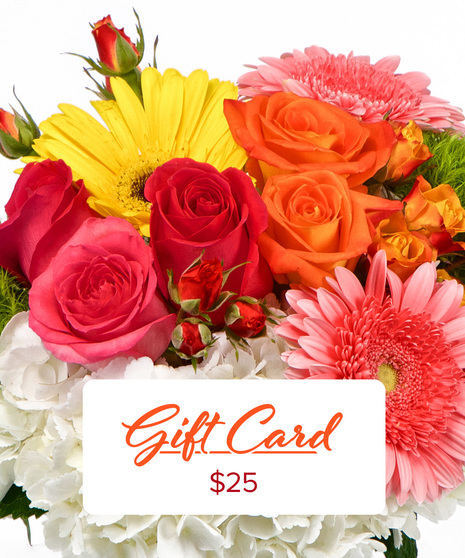 GIFT CARD $25