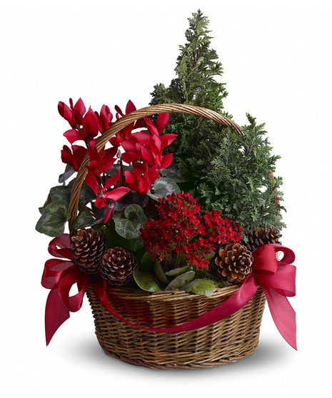 Tannenbaum Basket