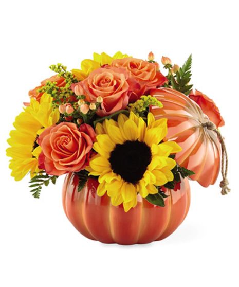 Harvest Tradition Pumpkin