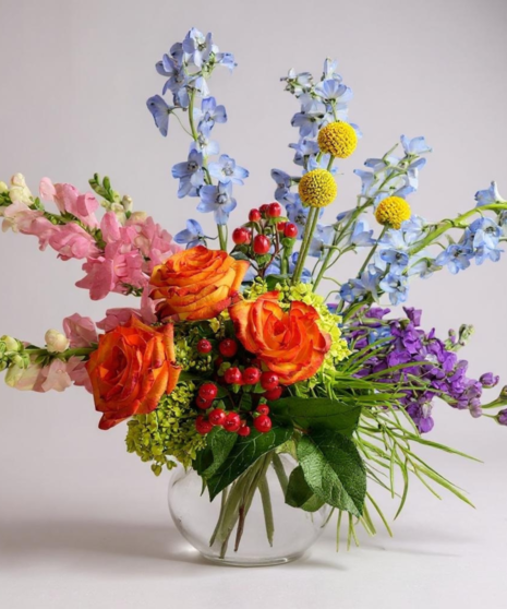 Colorburst Garden