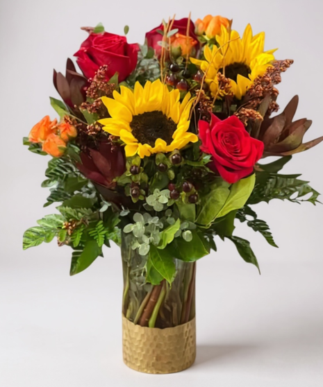 Sun Kissed Roses