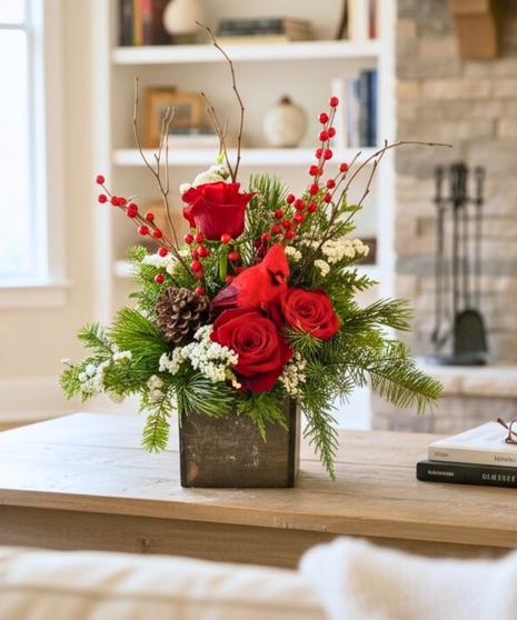 When a Cardinal is Near