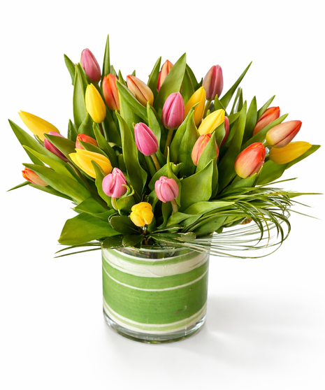Simply Tulips