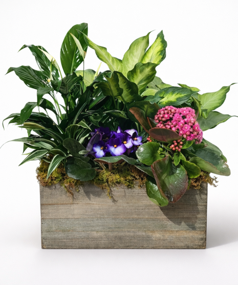 European Garden Delivery Milwaukee