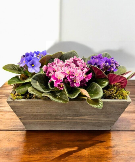Violet Keepsake