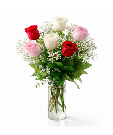 HALF DOZEN ROSES WITH FILLER